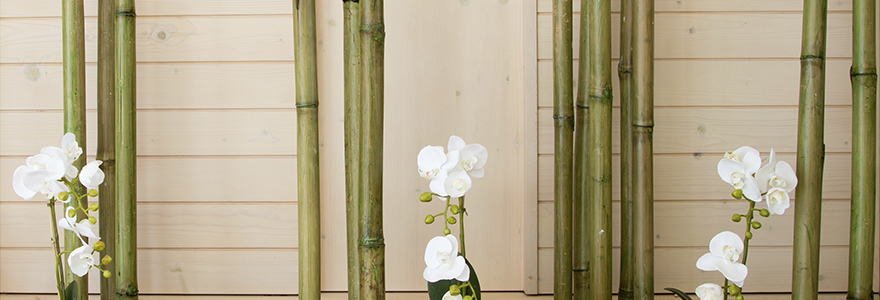 bambou decoratif