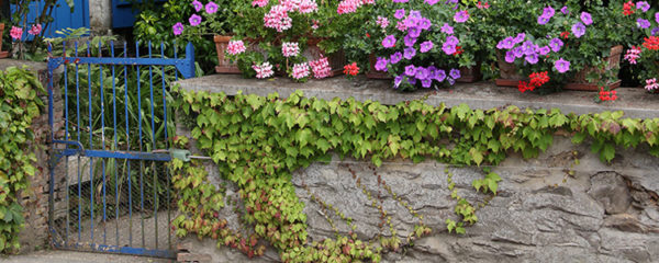 portillon de jardin